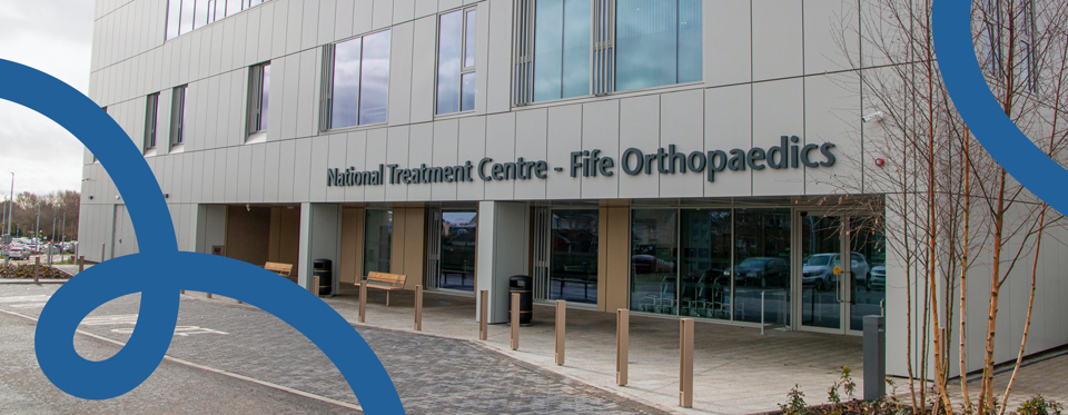 NTC Ortho Web