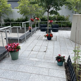 NTC Planting