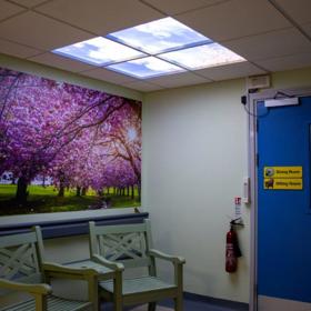 Room With Cherry Blossom Art