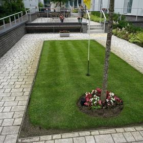 IMG 0568