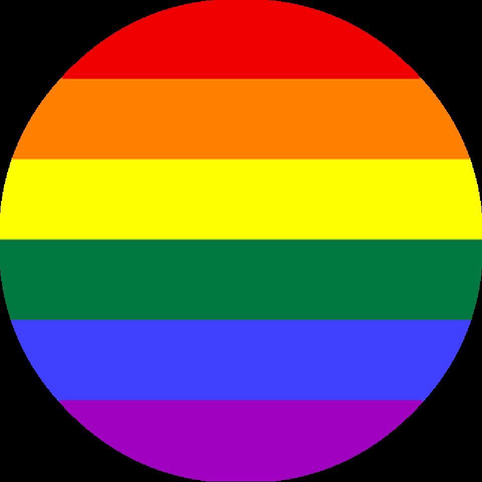 LGBTQI Circle Icon