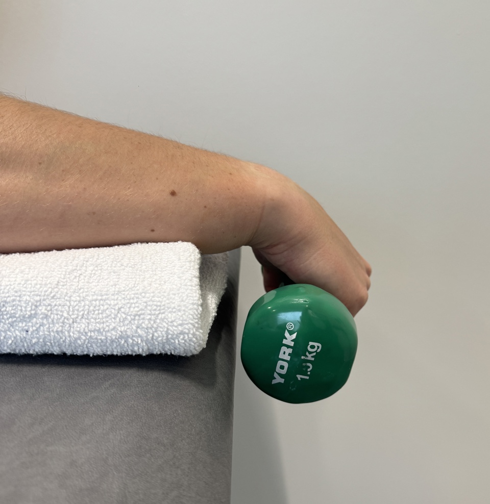 Wrist Extensor Strengthening Concentric