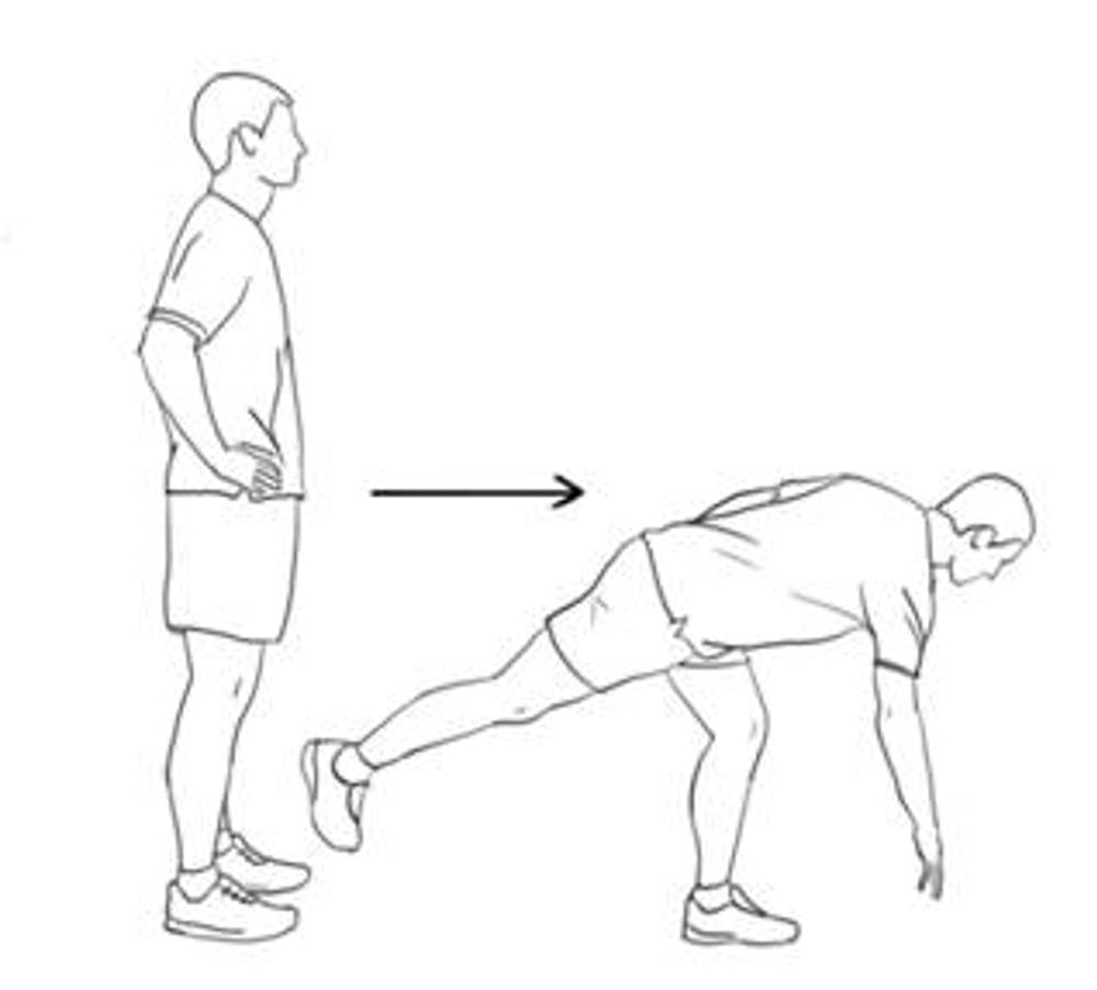 Single Leg Strengthening In The Gym