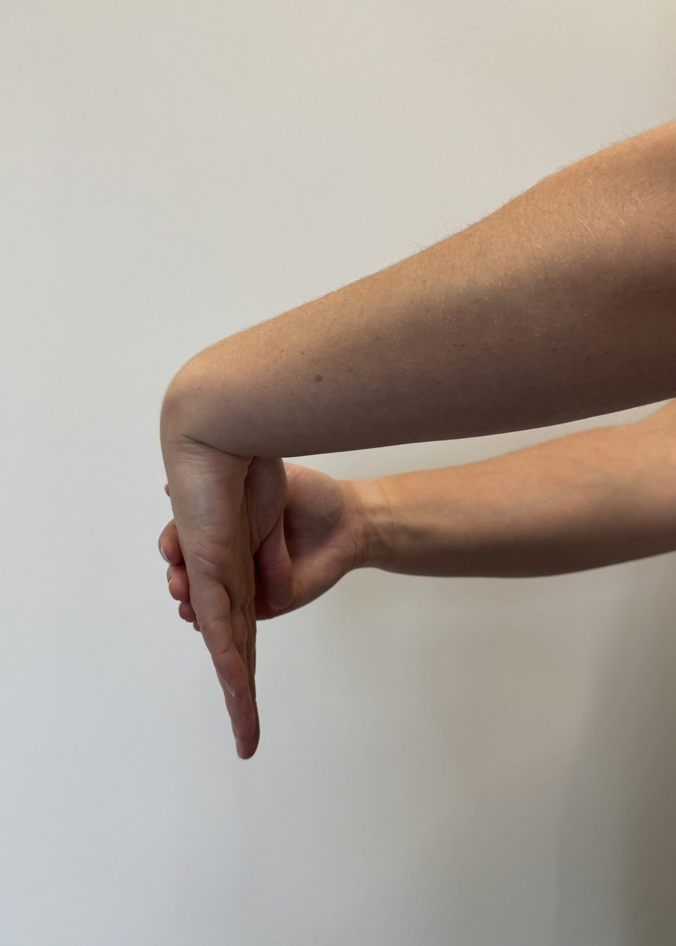 Wrist Extensor Stretch