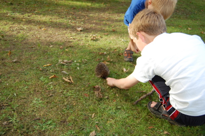 Children look at something on a lawn