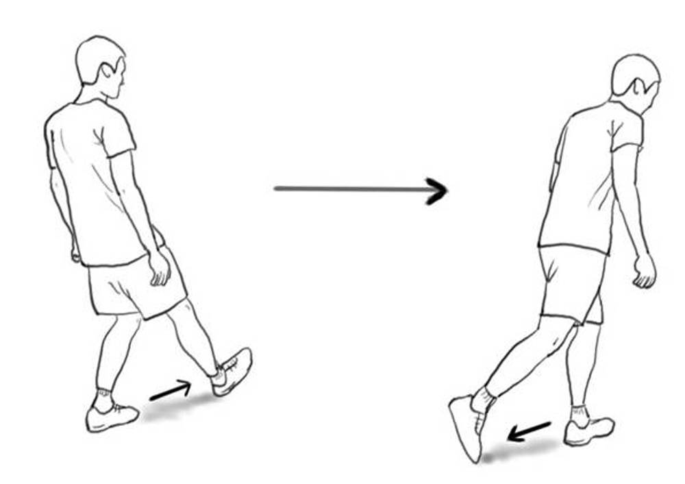 Loewr Limb Balance Reach
