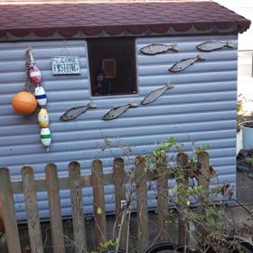 Garden Shed