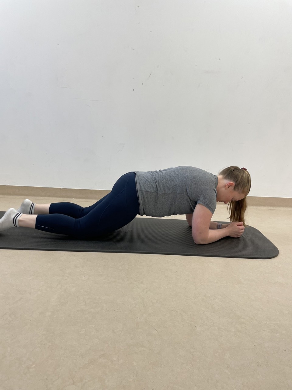Plank Elbows And Knees