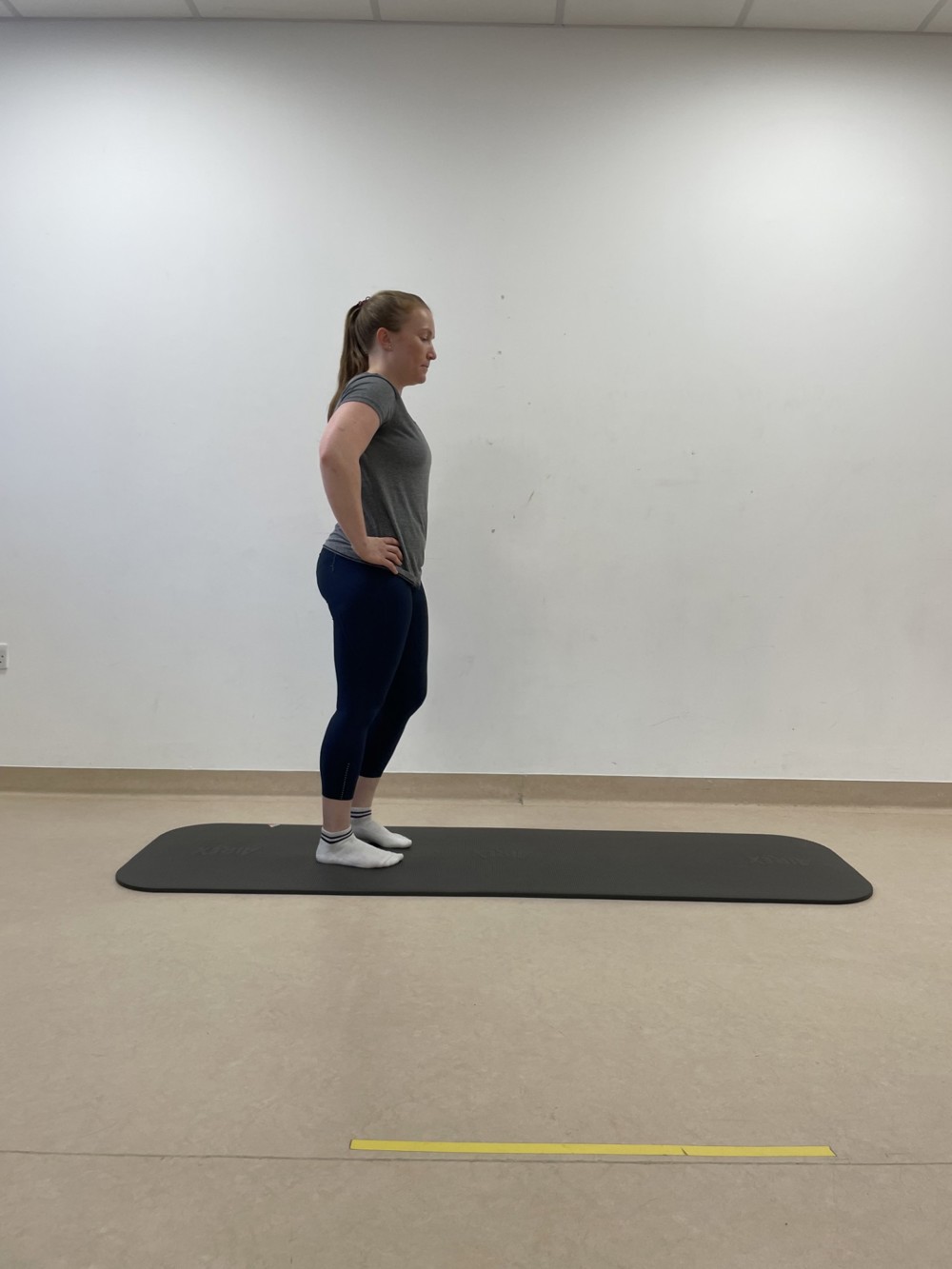 Lunge 1