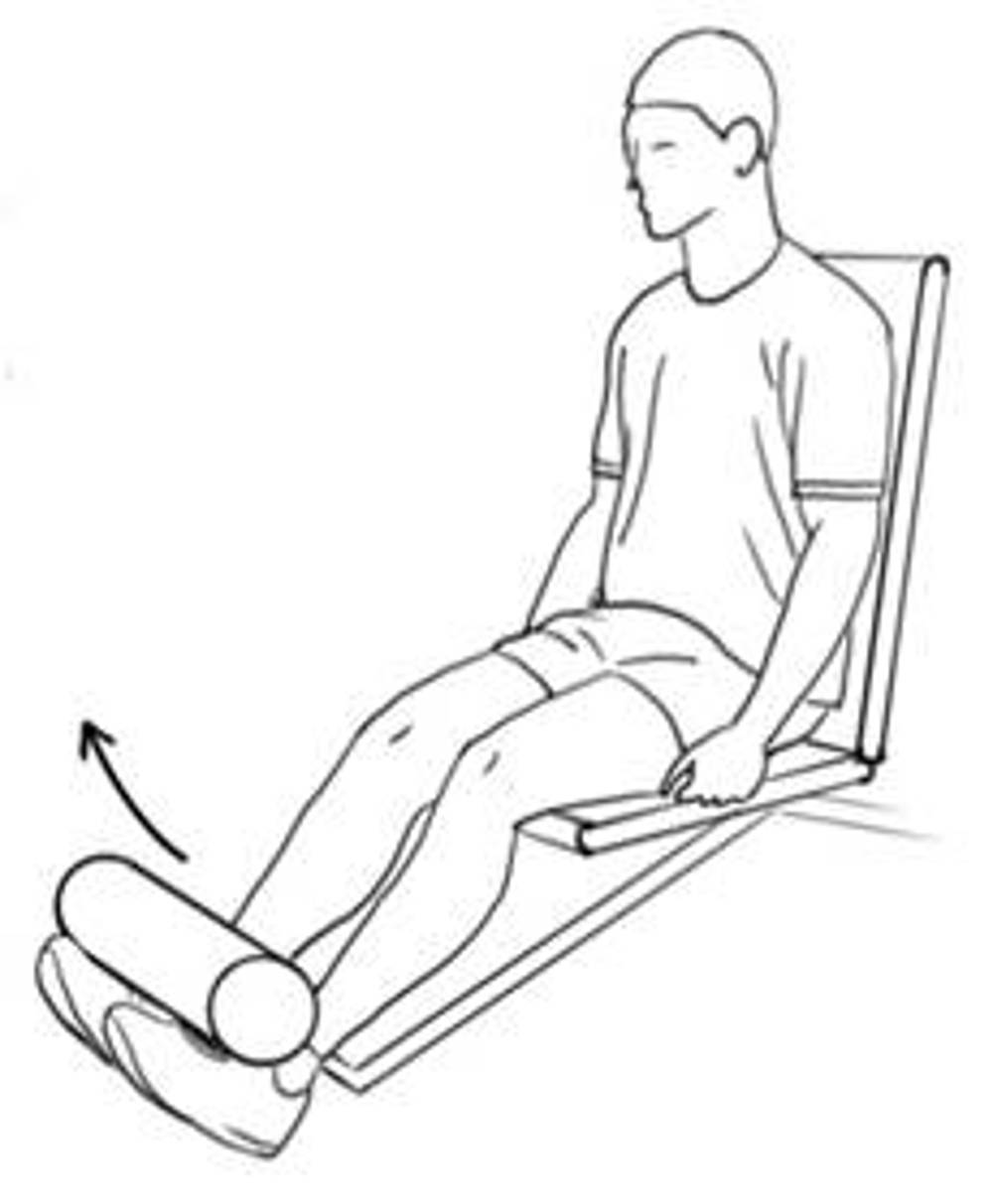 Quadriceps Extension Strengthening In The Gym