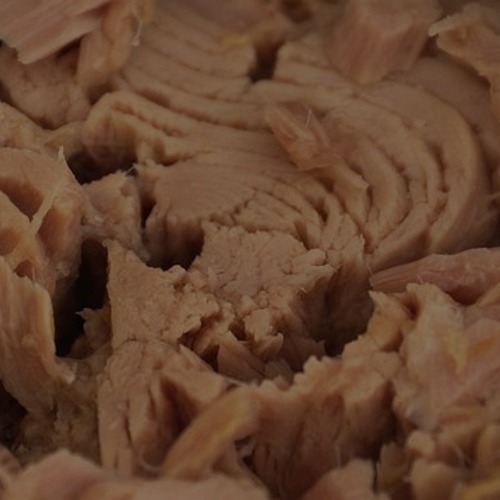 tinned tuna