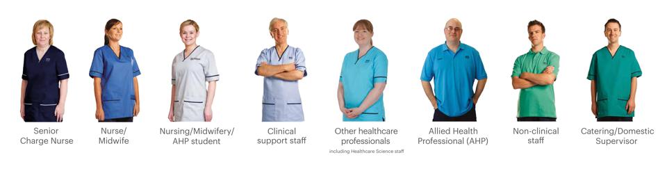Senior charge nurse, Nurse/Midwife, Nursing / Midwifery / AHP student / Clinical support staff, Other Healthcare staff,  AHP, Non Clinical, Catering / Domestic