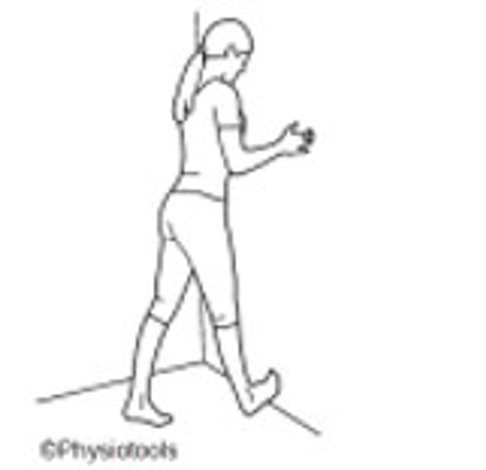 9. Calf Stretches