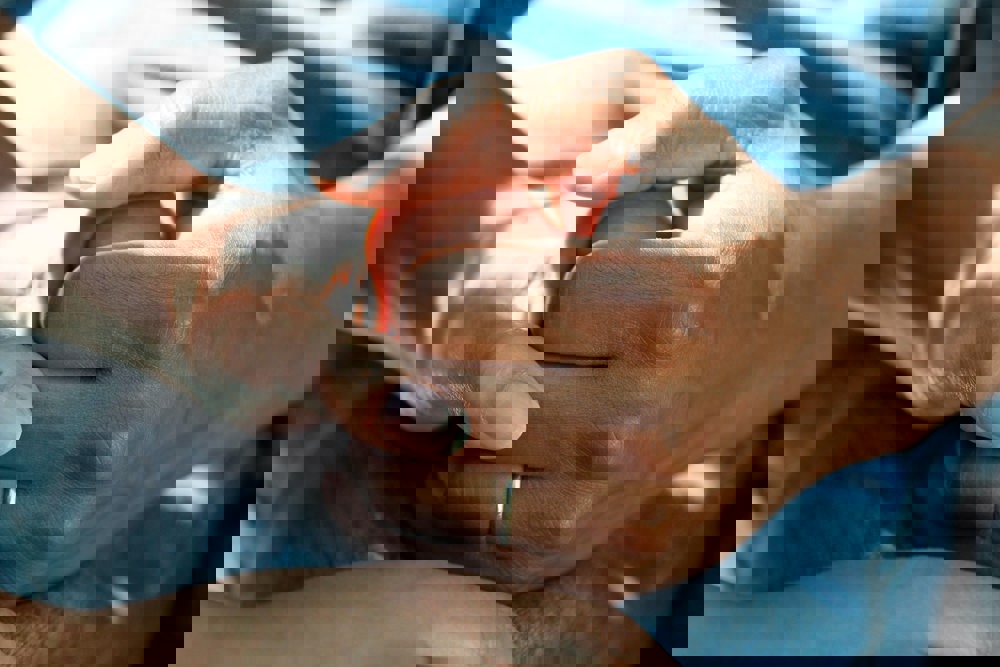 Care holding hands image