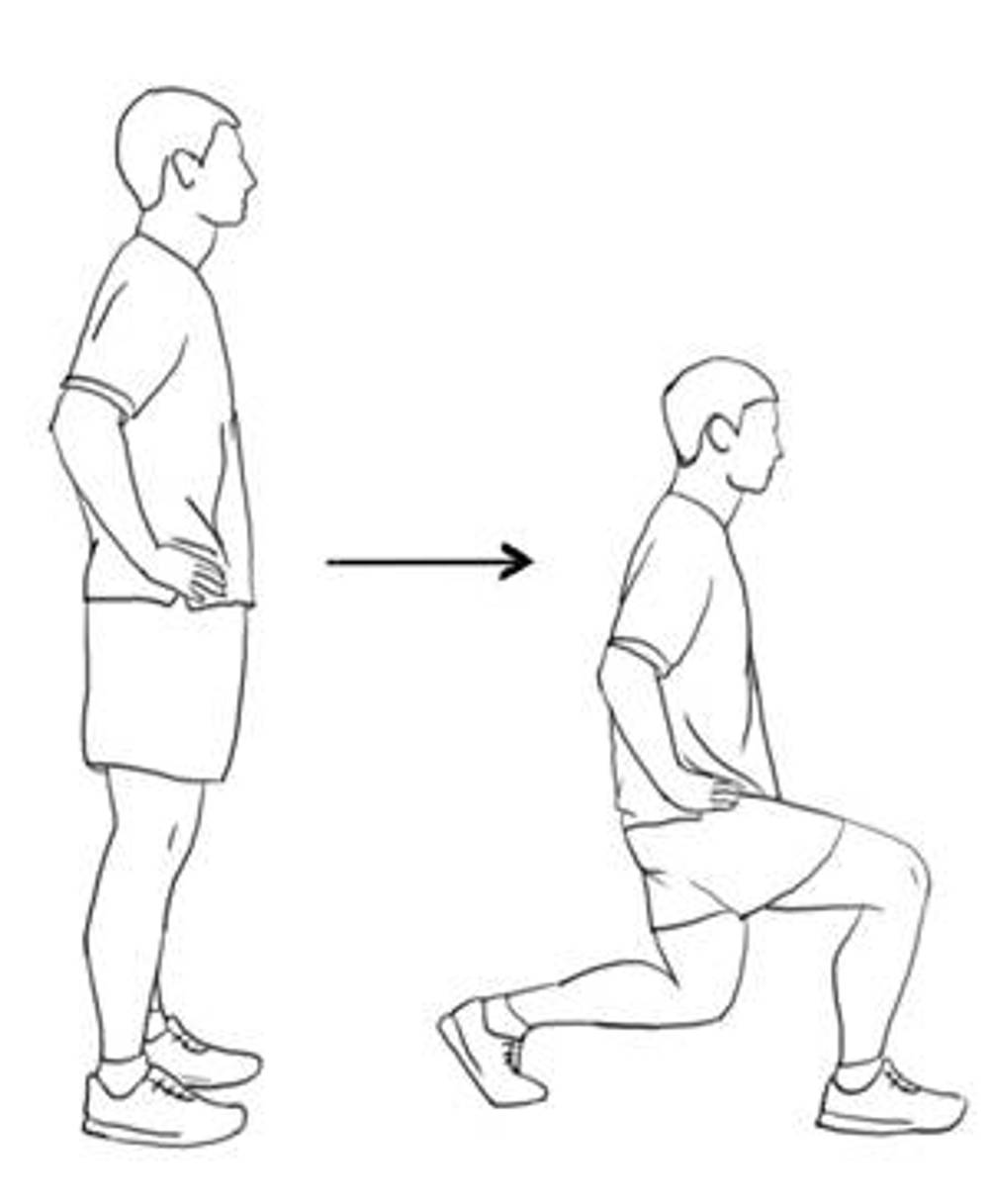 Forward Lunges In The Gym