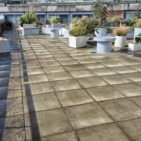 Rooftop Planters