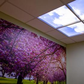 Cherry Blossom Art On Wall