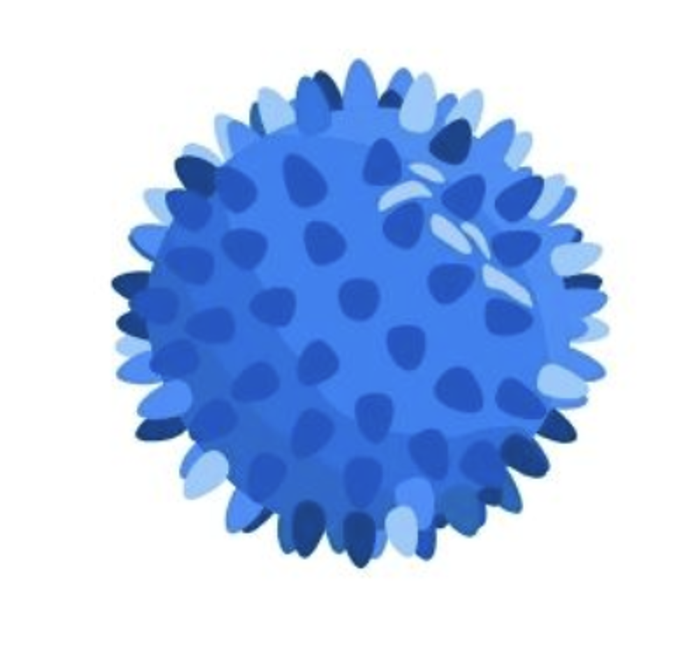 Massage Ball