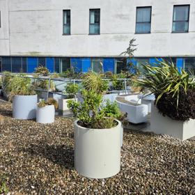 Planters Galore