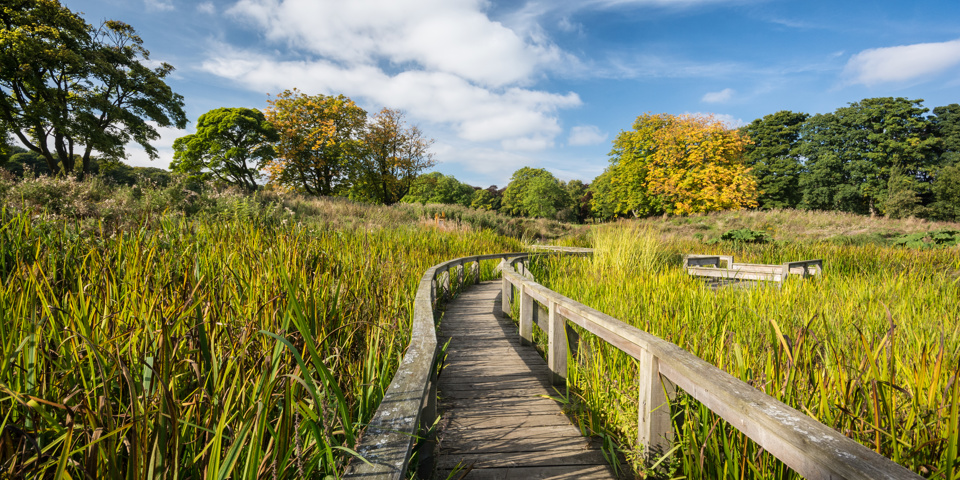 Beveridge Park bridge