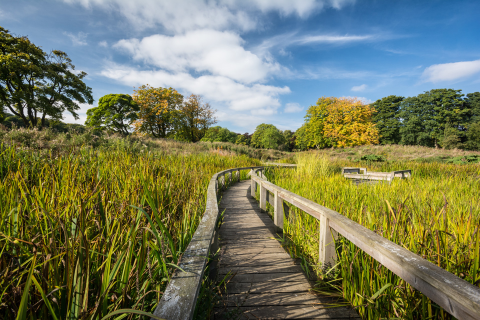 Beveridge Park bridge