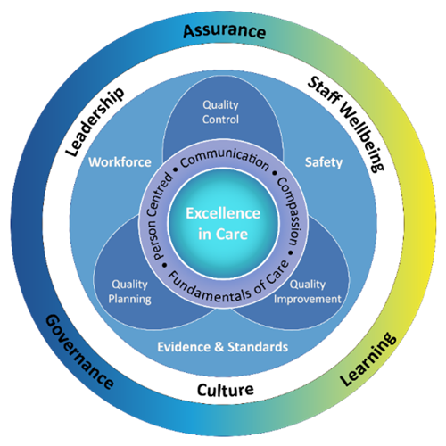Excellence In Care Diagram explaining the relationship between  assurance, learning and governance and quality.