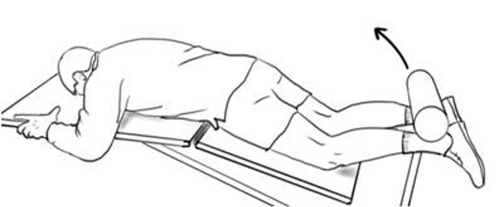 Hamstring Curl Strengthening In The Gym