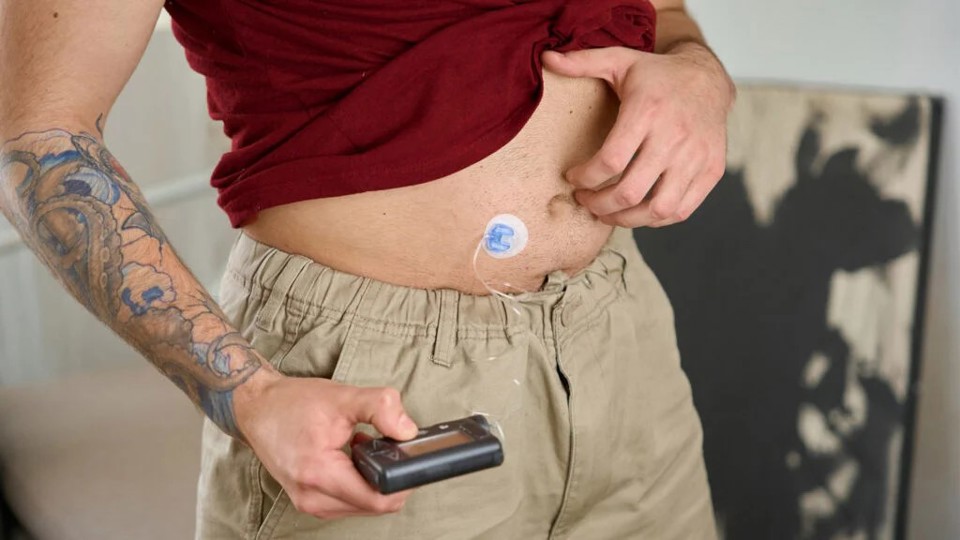 Diabetes monitor