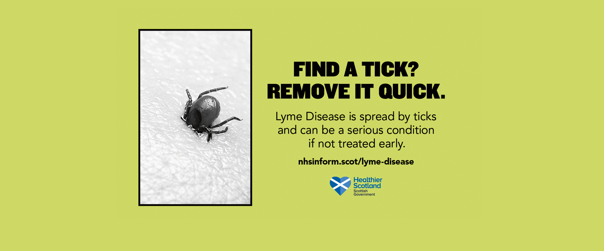Lyme disease campaign image about ticks