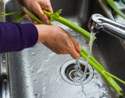 person washing celery
