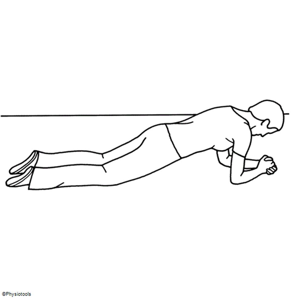 Plank With Knees On Floor