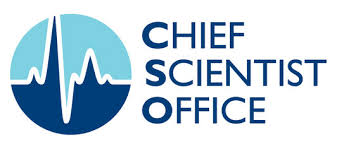 CSO Logo