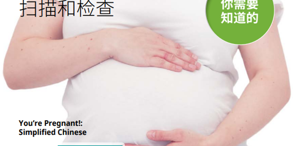 You're Pregnant Mandarin