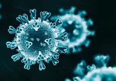 Coronavirus cell