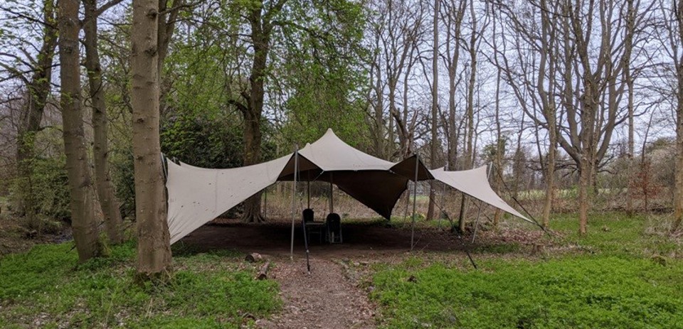 TB Shelter In Woodland