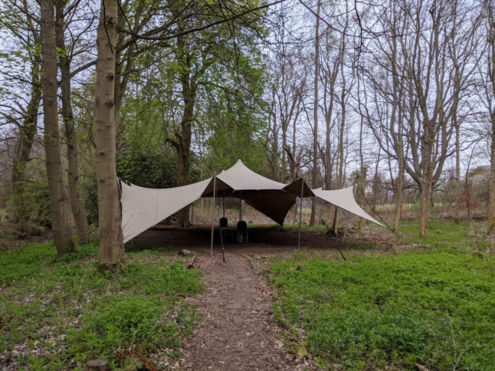 TB Shelter In Woodland