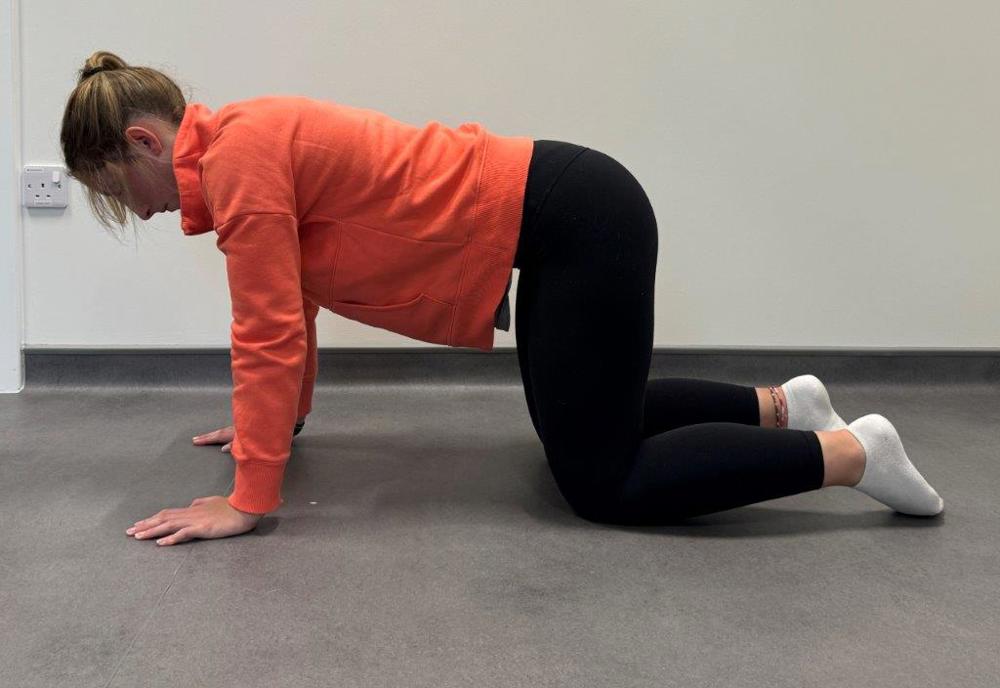 4 Point Kneeling Neutral